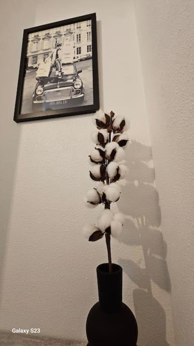 Appartement Calme Льєвен Екстер'єр фото
